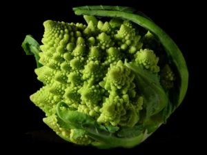 Picture of Romanesco broccoli